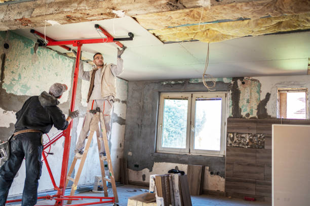 Best Insulation Installation Services in Loves Park, IL