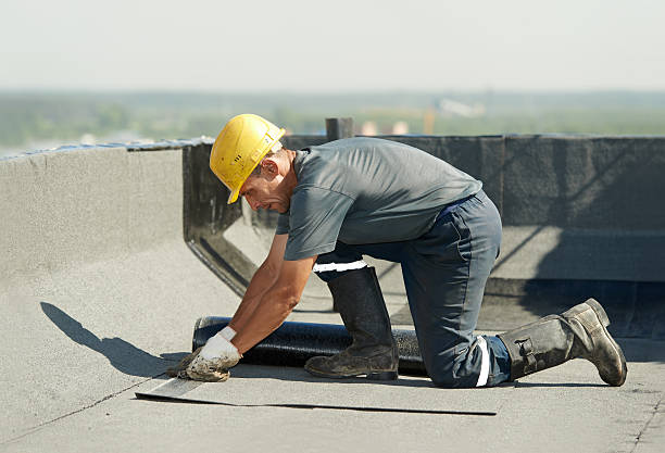 Best Types of Insulation in Loves Park, IL